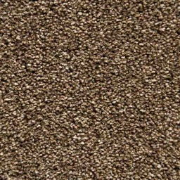 [BLK-400-117] Belakos Diamond 400cm breed (94)