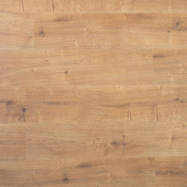 Spontaan Plank