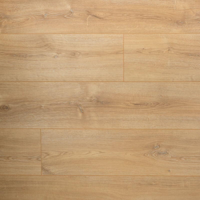 Douwes Dekker Elegant