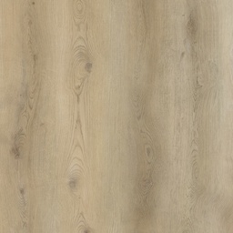 [BGGR-00029] Bigger5 - Tiger (Lange Plank) (Boom)