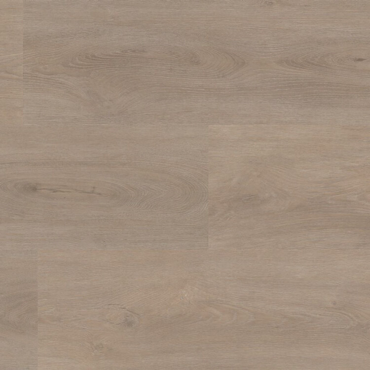 Ambiant Robusto Click