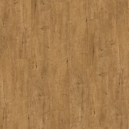 [1744610] Vinyl Classic 2030 (Eiken Explorer karamel)
