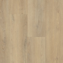 [BLKS-PLZ-0012] Palazzo Rigid Click (Palazzo 760)