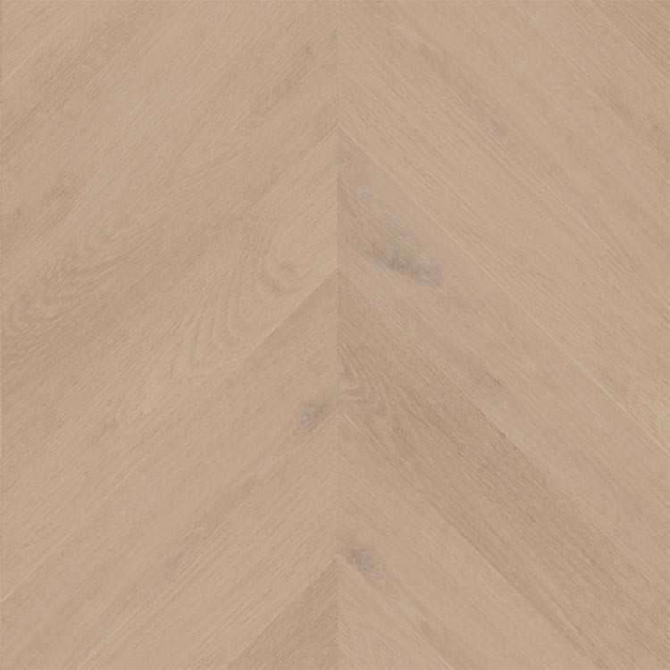 Belakos Palazzo Hongaarse Punt