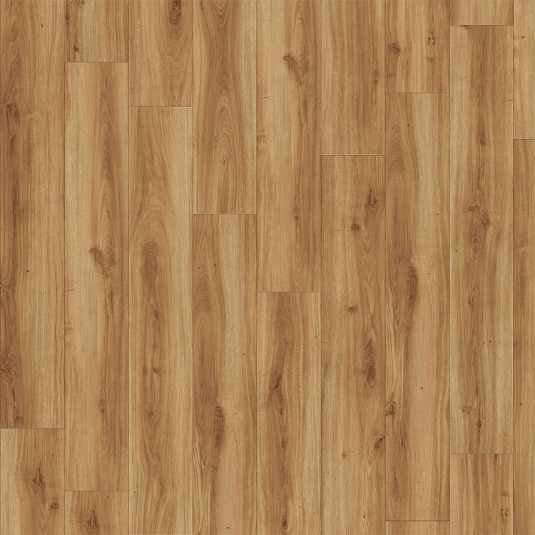 Moduleo Roots