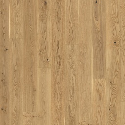 [ID-01-00851] Parador Trendtime 4 (Eiken Cream)