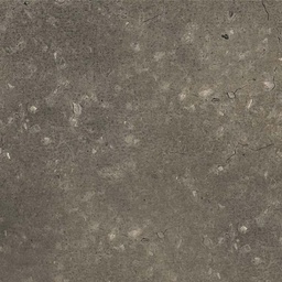 [ID-01-00977] Alpha Vinyl Medium Tiles (AVMT40235 Geoxideerde rots)
