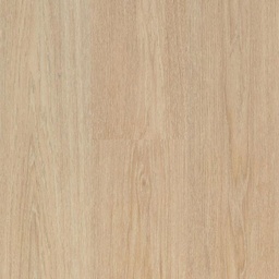 [ID-01-00049] Connect 8 V4 (Charme Light Natural)