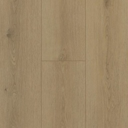 [FRMFT-0003] Firmfit (Dryback) (6501 Sierra Beige)