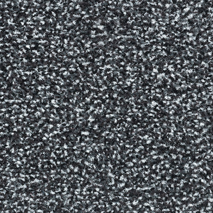 560 Carrera 200 breed