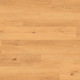 [ID-01-00984] Tajima Ambiente (TRC-8009)