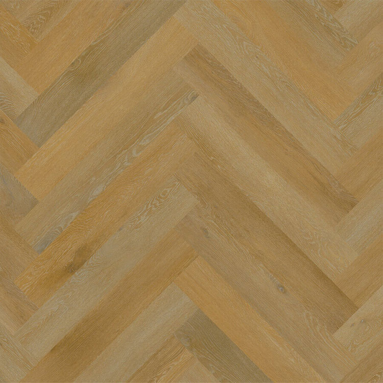 Aspecta Elemental Isocore Visgraat