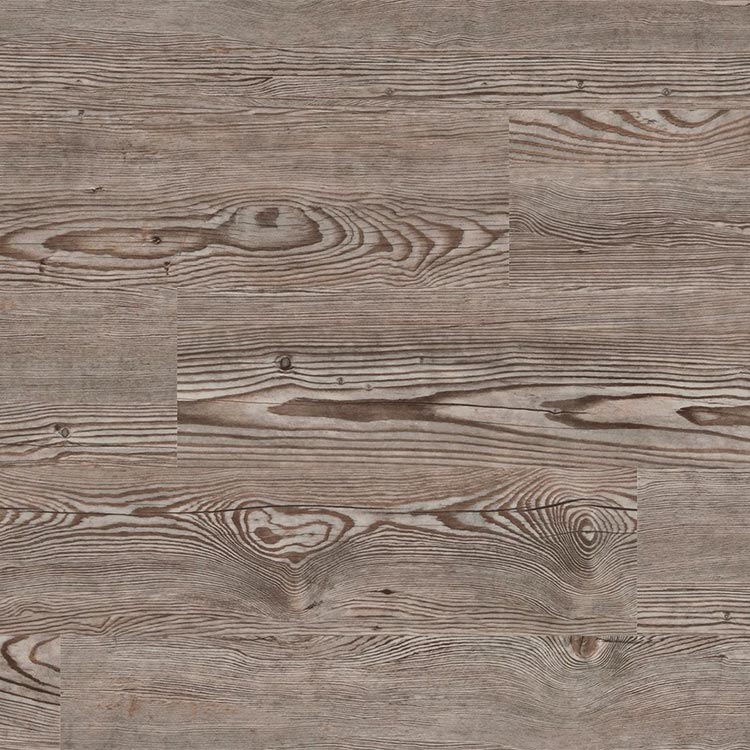 CoreTEC Wood Corvallis Pine 50LVP506