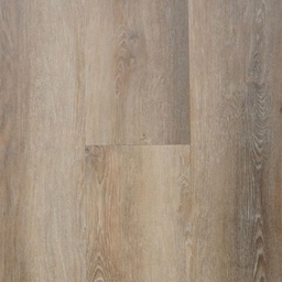 [6109-8] TFD Nature  (6109-8)