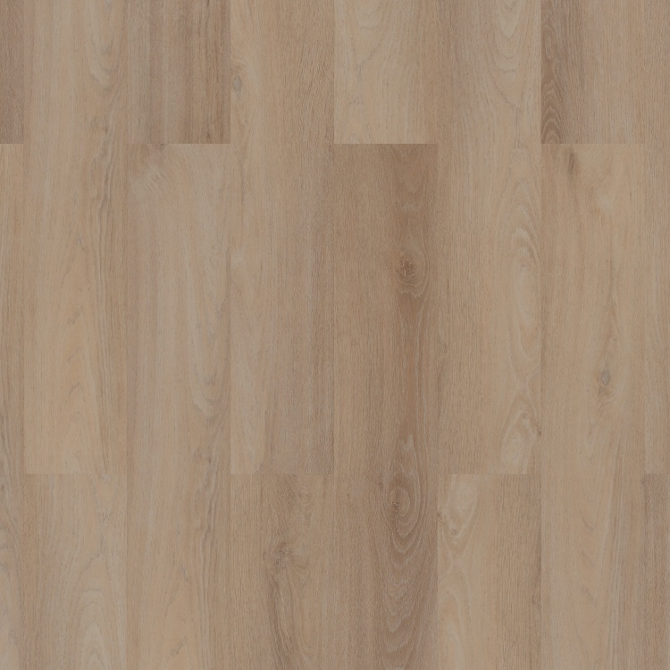 Room 5 Planks