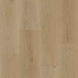 [17751-J] Bodiax BP300 Longa (331 Silt)