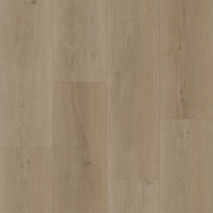 Bodiax BP500 Thor Hydro-core Click