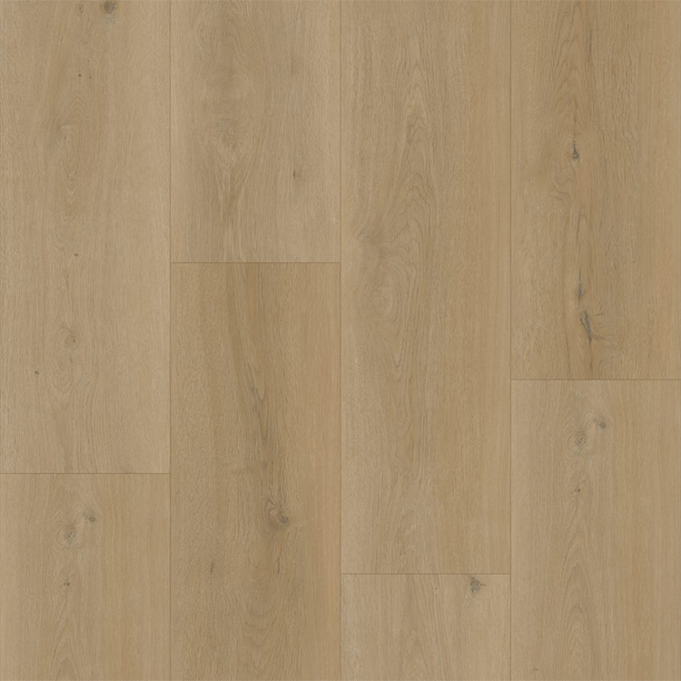 Bodiax BP500 Thor Hydro-core Click