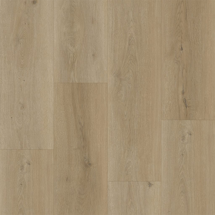 Bodiax BP500 Thor Hydro-core Click