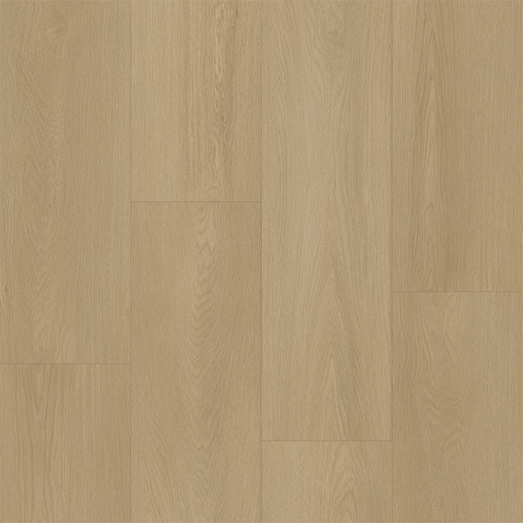 Bodiax BP500 Thor Hydro-core Click