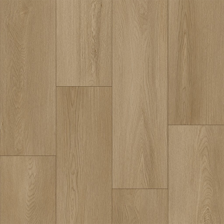 Bodiax BP500 Thor Hydro-core Click