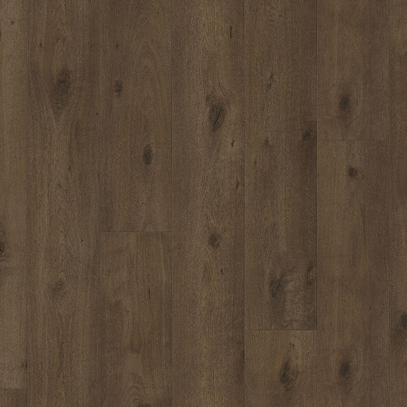 Parador Trendtime 6 4V