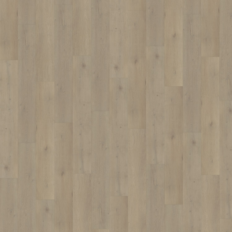 Belakos Attico Rigid Click