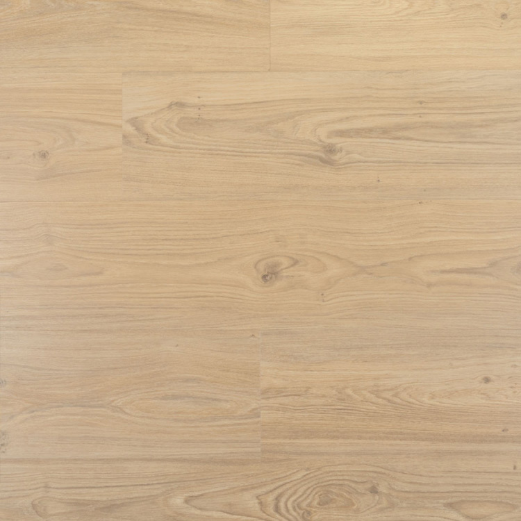 Douwes Dekker Ambitieus Klik Riante Plank