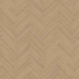 [BLKS-FUT-51] Belakos Futuro Visgraat XL (51)