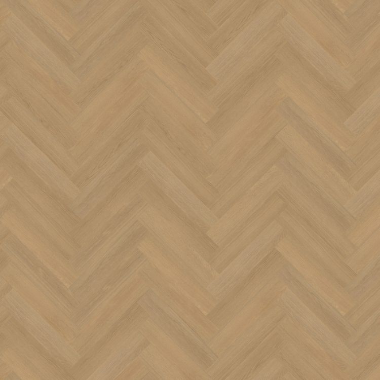 Belakos Futuro Visgraat XL Rigid Click