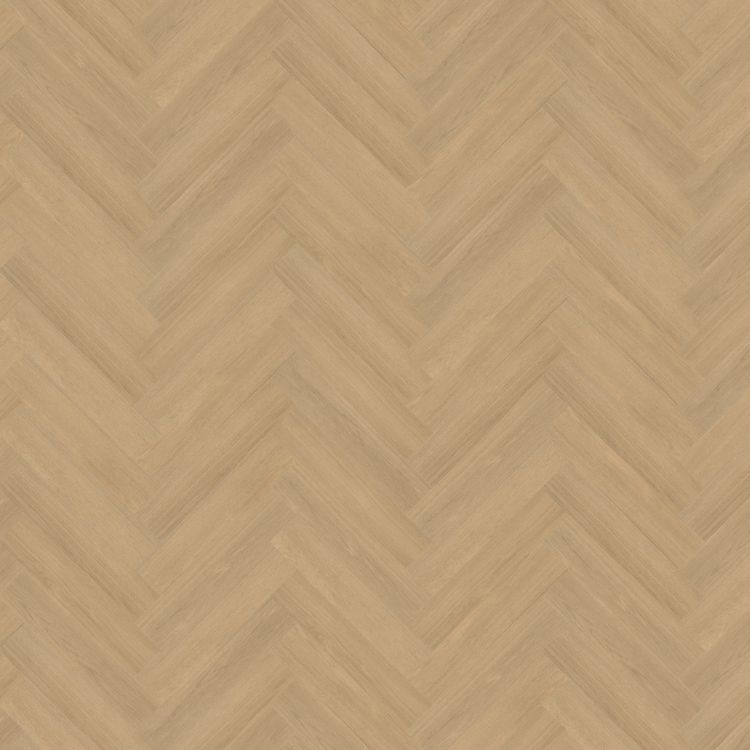 Belakos Futuro Visgraat XL Rigid Click