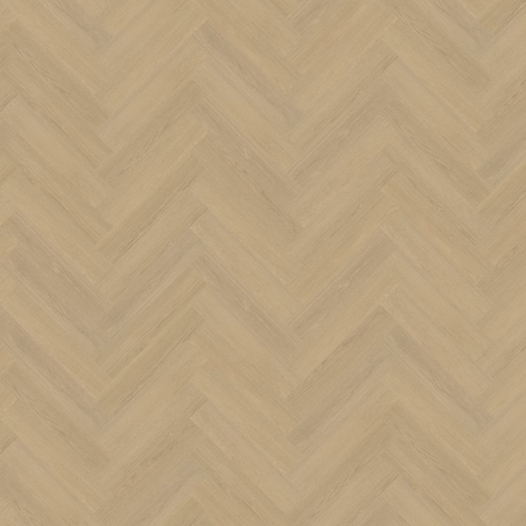 Belakos Futuro Visgraat XL Rigid Click