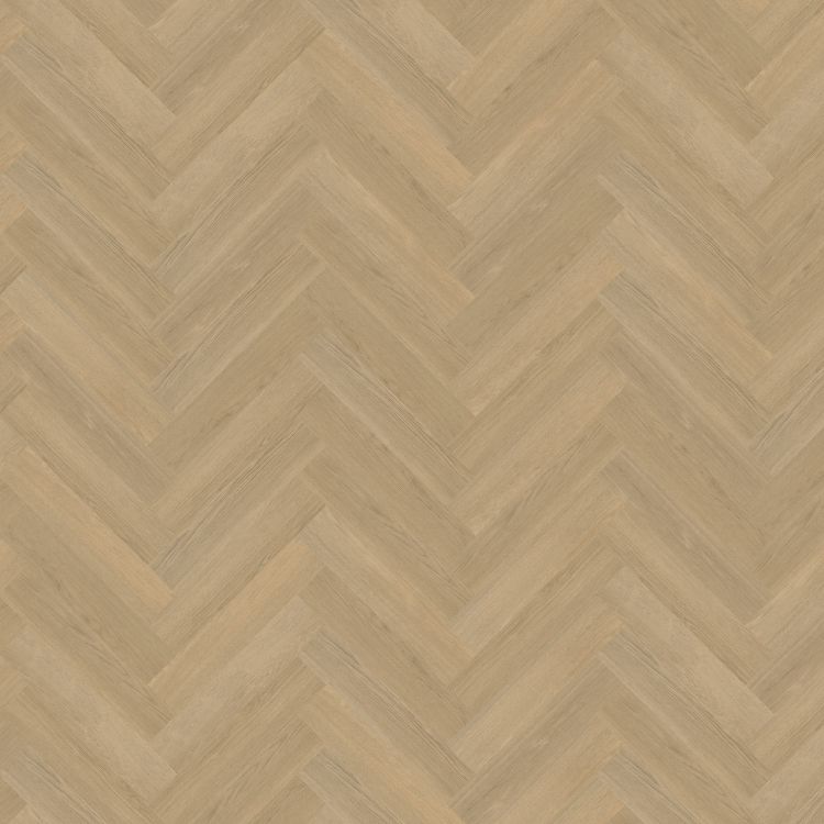 Belakos Futuro Visgraat XL Rigid Click