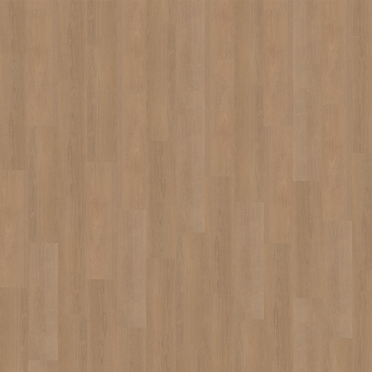 Belakos Futuro Rigid Click