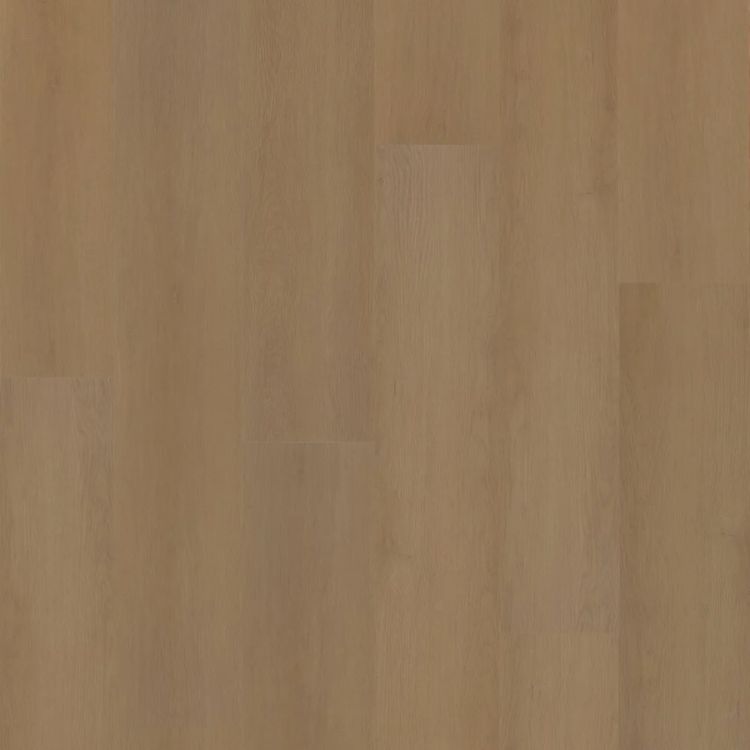 Hoomline Prestige Dryback Plank