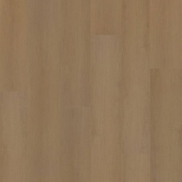 [5053-A] Hoomline Prestige Dryback Plank (5053 Nice)