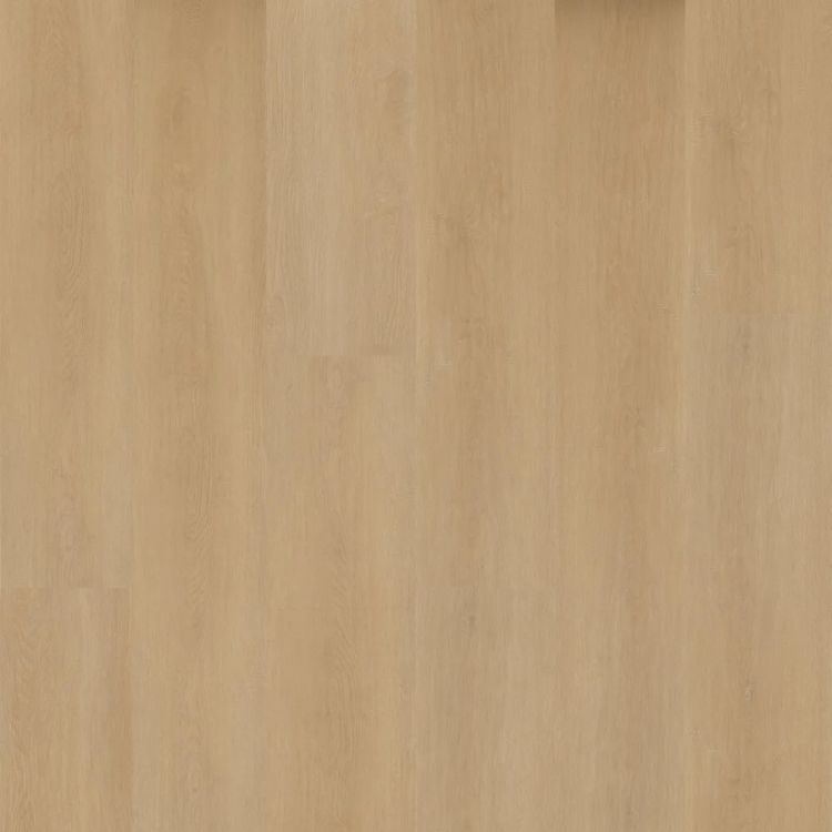 Hoomline Prestige Dryback Plank