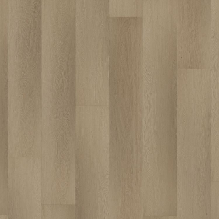 Room 5