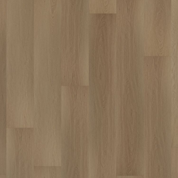 Room 5