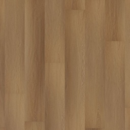 [555100106] Room 5 (Western Hemlock)