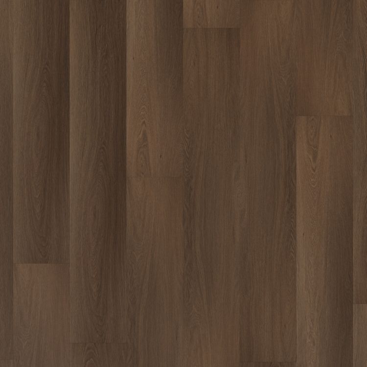 Room 5
