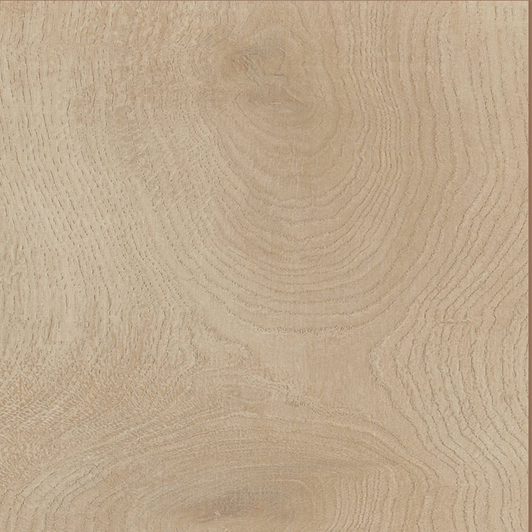 Rond de Wereld Madrid Eik